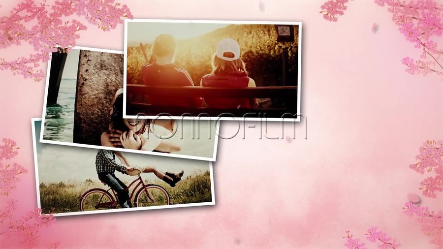 桜の花びらが舞い散る背景に白枠の写真を複数枚少し傾けて重ねて配置する本編シーン