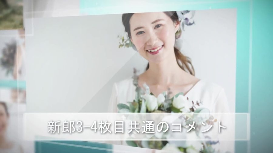 半透明の白い枠で囲まれた写真が手前に大きく表示され、画面下にコメント枠が表示される本編シーン